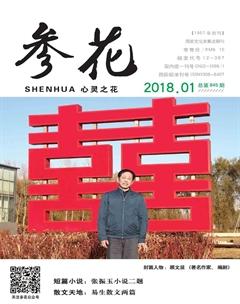 参花（下）2018年全部期数