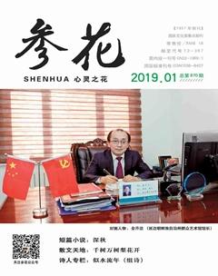 参花（下）2019年全部期数