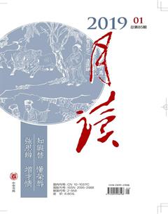 月读2019年全部期数
