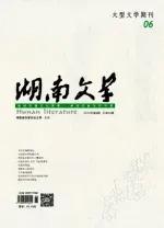 湖南文学2012年全部期数