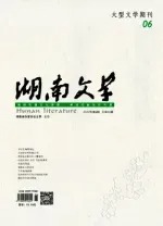 湖南文学2013年全部期数