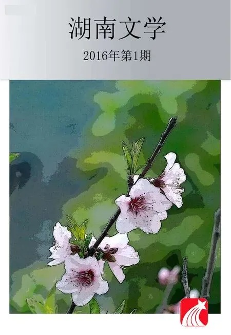 湖南文学2016年全部期数