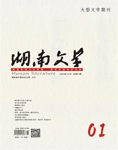 湖南文学2020年全部期数