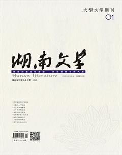 湖南文学2021年全部期数