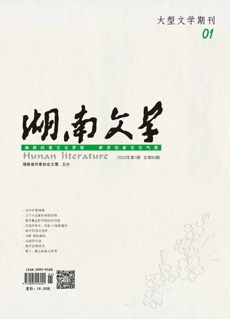 湖南文学2022年全部期数