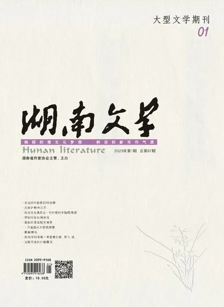 湖南文学2023年全部期数