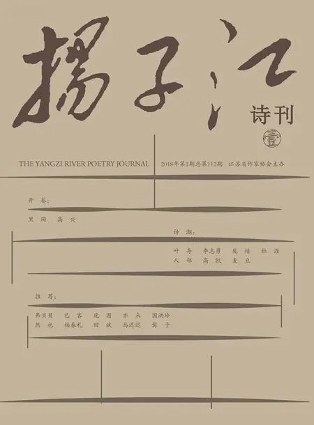 扬子江诗刊2018年全部期数