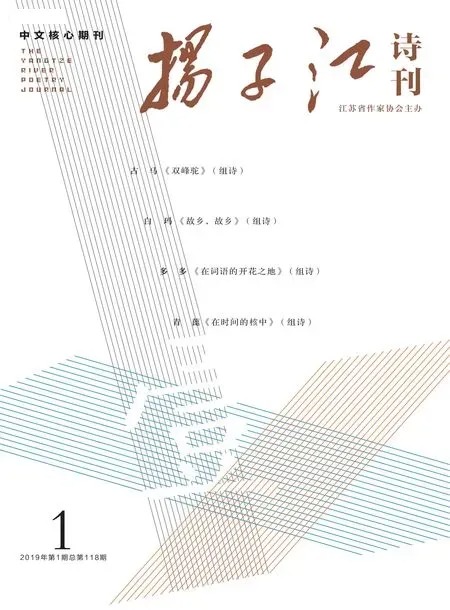 扬子江诗刊2019年全部期数