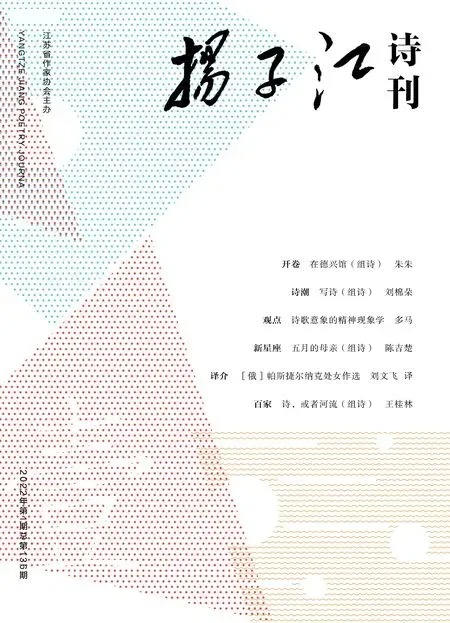 扬子江诗刊2022年全部期数