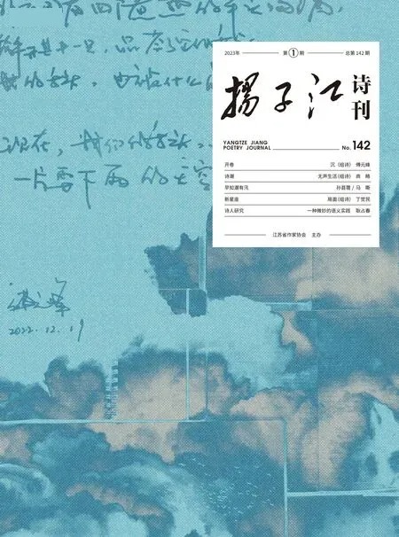 扬子江诗刊2023年全部期数