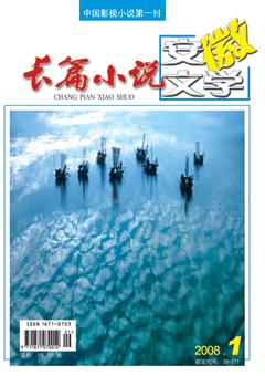 安徽文学2008年全部期数