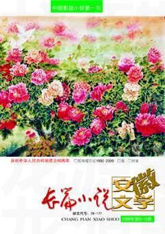 安徽文学2009年全部期数
