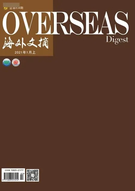 海外文摘·艺术2021年全部期数