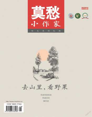 莫愁·小作家2019年全部期数