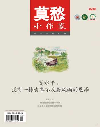 莫愁·小作家2023年全部期数