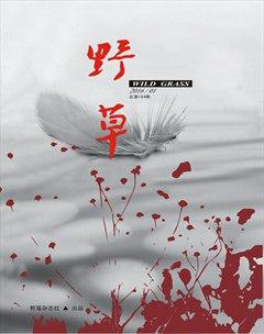 野草2016年全部期数