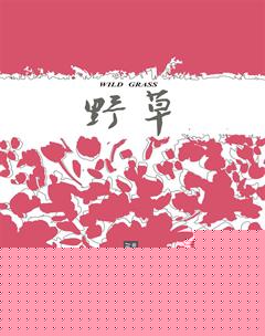野草2019年全部期数