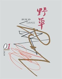 野草2020年全部期数