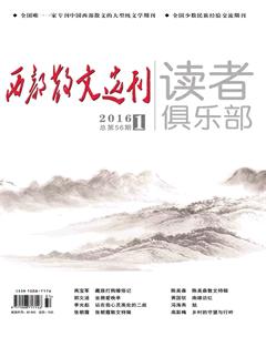 西部散文选刊2016年全部期数