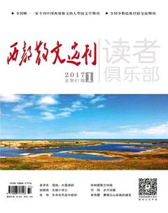 西部散文选刊2017年全部期数