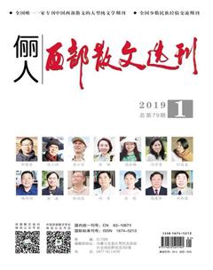 西部散文选刊2019年全部期数
