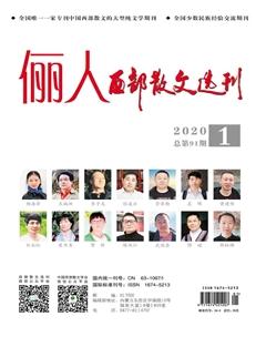 西部散文选刊2020年全部期数