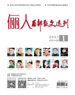 西部散文选刊2021年全部期数