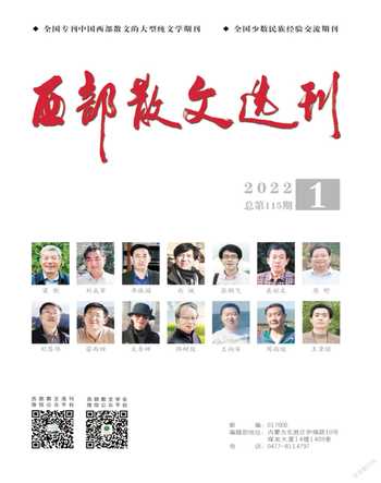 西部散文选刊2022年全部期数