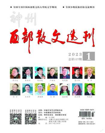 西部散文选刊2023年全部期数