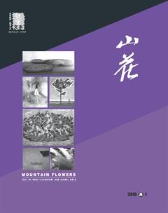山花2016年全部期数