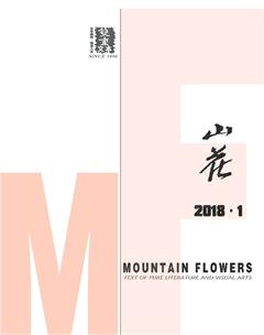 山花2018年全部期数