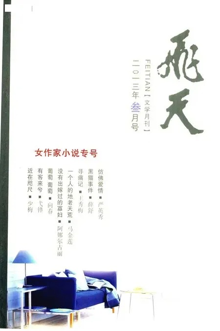 飞天2013年全部期数