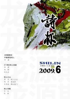 诗林2009年全部期数