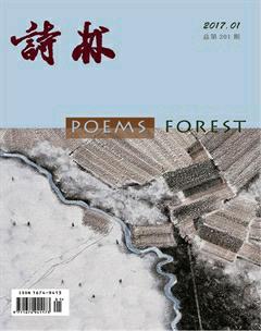 诗林2017年全部期数