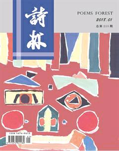 诗林2018年全部期数