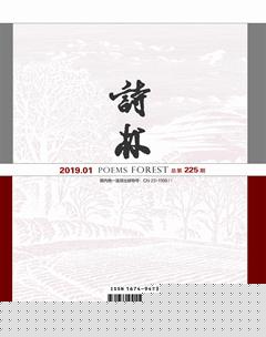 诗林2019年全部期数