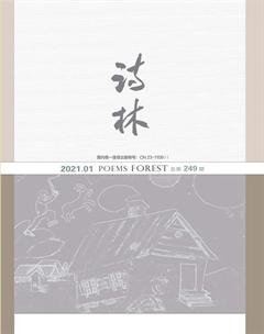 诗林2021年全部期数