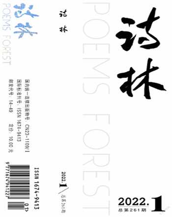 诗林2022年全部期数