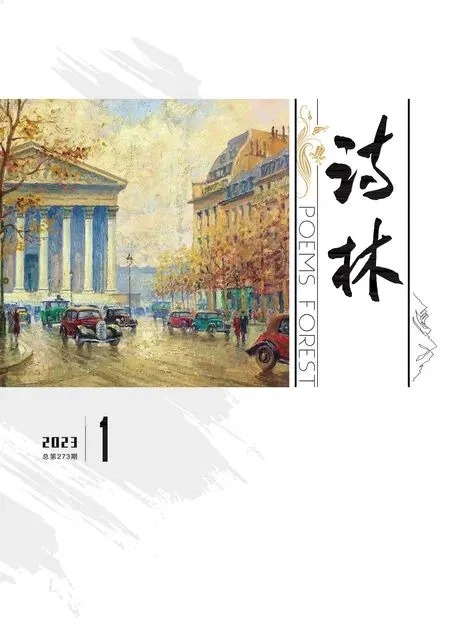 诗林2023年全部期数
