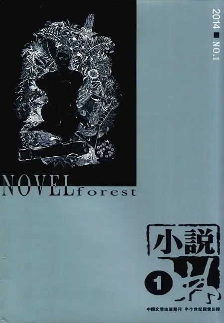 小说林2014年全部期数