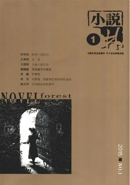 小说林2015年全部期数