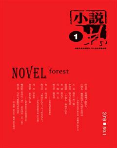 小说林2016年全部期数