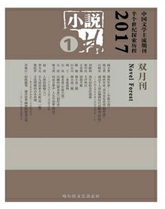 小说林2017年全部期数
