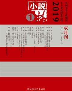 小说林2019年全部期数