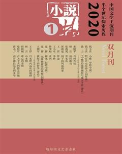 小说林2020年全部期数