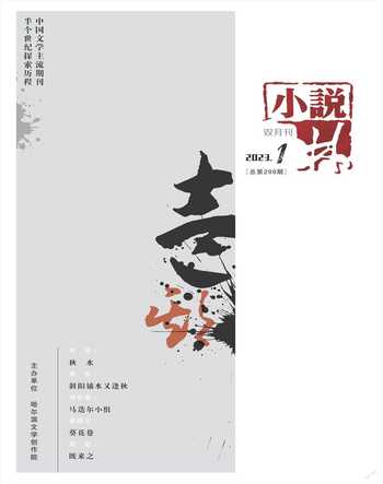 小说林2023年全部期数