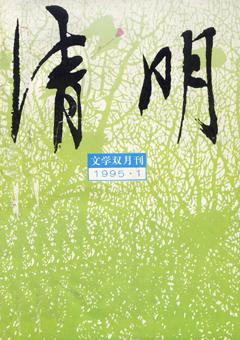 清明1995年全部期数