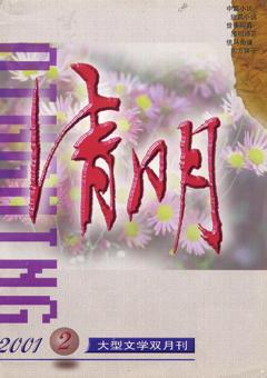 清明2001年全部期数