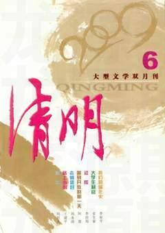 清明2009年全部期数