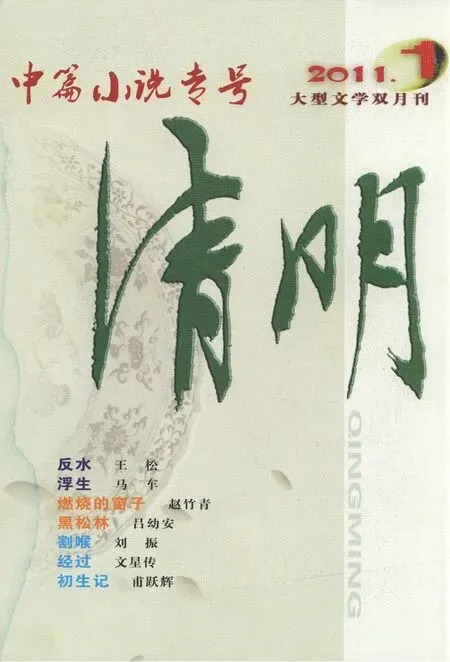 清明2011年全部期数